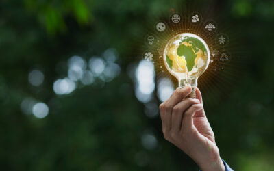 Why Sustainability Strategies Fail Without an Execution Plan